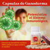 CAPSULAS DE GANO EXCEL GANODERMA