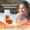 CAPSULAS DE GANO EXCEL GANODERMA